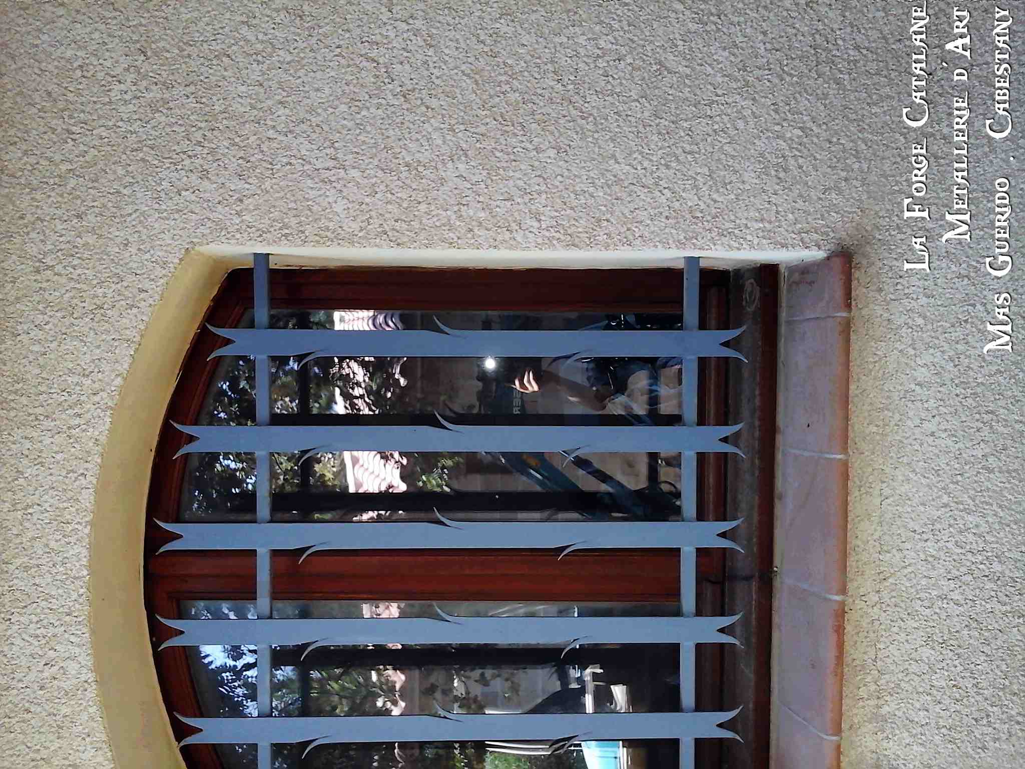 grille de protection barreaudage droit avec epis forge catalane.jpg